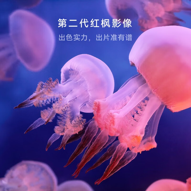 HUAWEI Mate X7 12GB+512GB